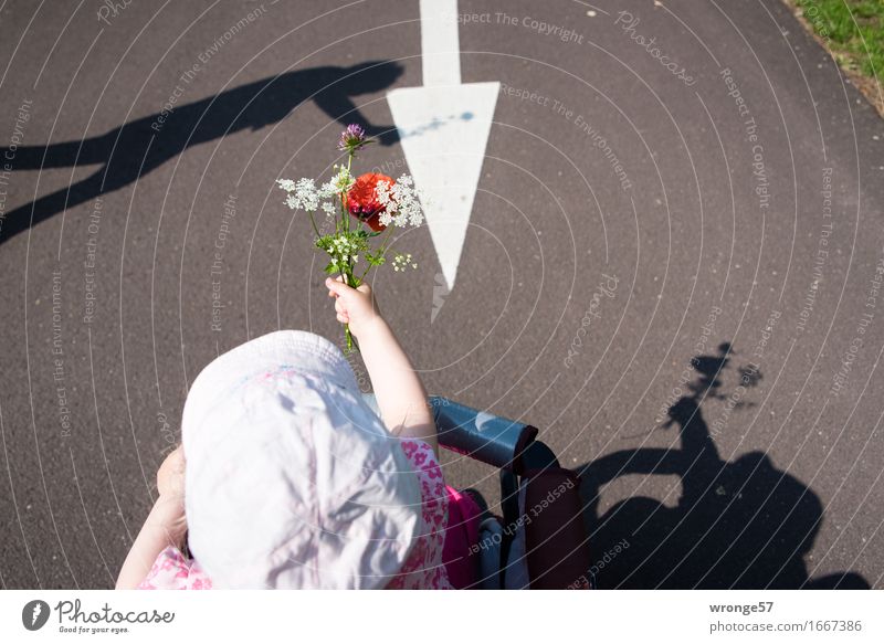 Flowers for Mommy Joy Human being Child Toddler Girl Family & Relations 2 1 - 3 years 30 - 45 years Adults Plant Blossom Wild plant Poppy blossom Gray Green