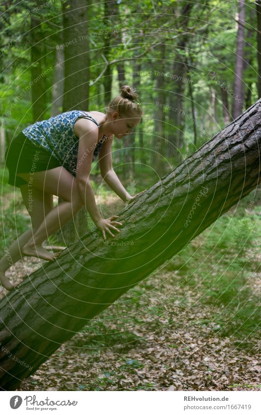 Alexa's climbing. Trip Adventure Human being Feminine Young woman Youth (Young adults) 1 18 - 30 years Adults Environment Nature Summer Plant Tree Forest Blonde