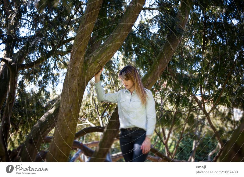 Into the wild Feminine Young woman Youth (Young adults) 1 Human being 18 - 30 years Adults Forest Natural Colour photo Exterior shot Day Upper body Downward