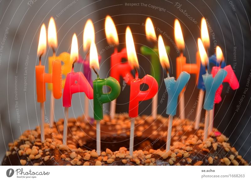 Festive celebrations Candle Emotions Moody Joy Happy Happiness Contentment Joie de vivre (Vitality) Enthusiasm Euphoria Optimism Success Love Infancy Birthday