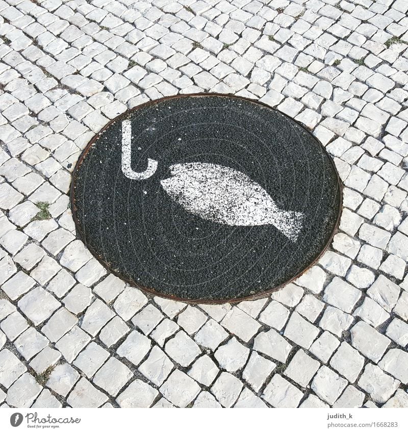 fishing point Coast Lakeside River bank Fishing village Harbour Road sign Animal 1 Stone Sign Signs and labeling Black White Paving stone Fishing (Angle)