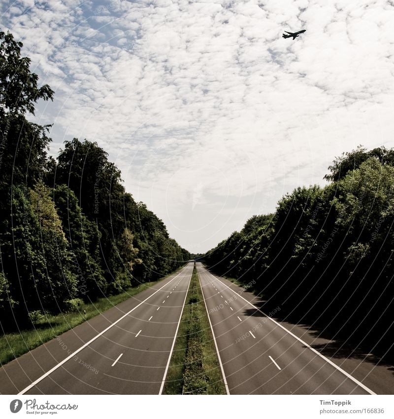 The Day After #1 Exterior shot Contrast Wide angle Forest Means of transport Traffic infrastructure Road traffic Motoring Street Highway Bridge Aviation