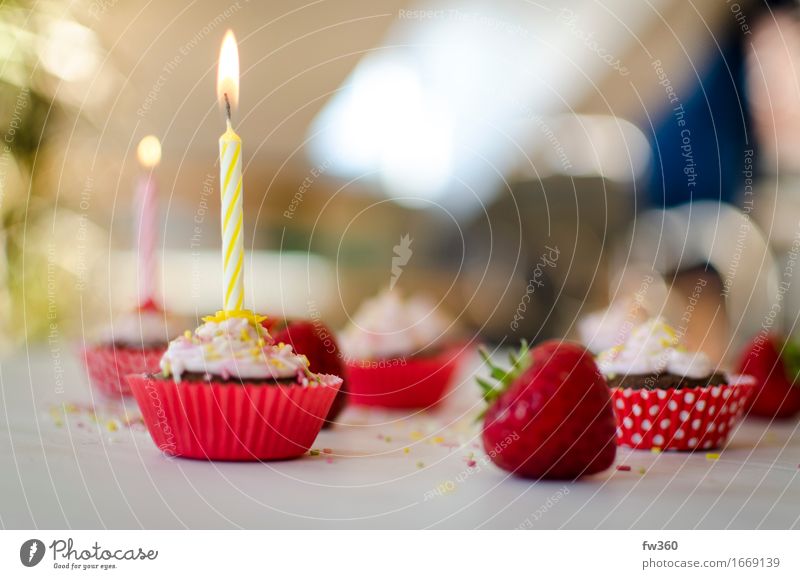 Birthday Cupcake with Candle and Strawberry Dessert Candy Muffin Nutrition Eating Banquet Slow food Finger food birthday dinner Birthday cake Party