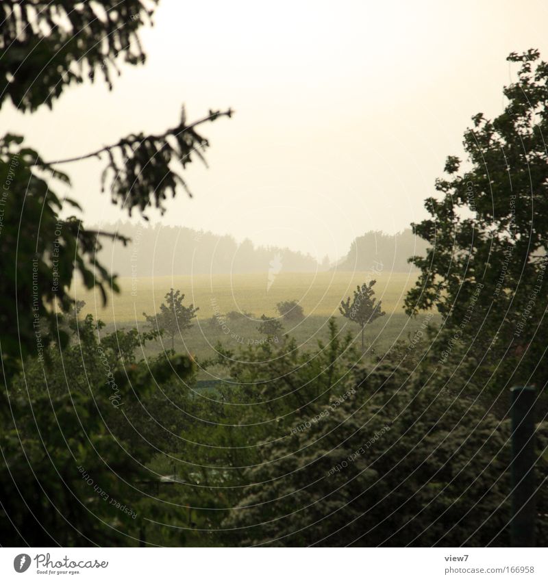 rainy weather Colour photo Subdued colour Exterior shot Deserted Copy Space top Day Twilight Central perspective Nature Landscape Water Drops of water Sky