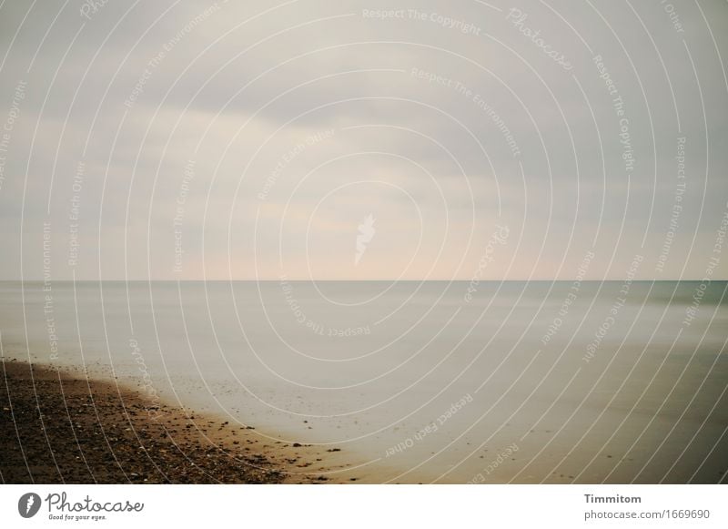 Waiting, waiting... Vacation & Travel Environment Nature Water Beach Denmark Esthetic Natural Serene Calm Horizon North Sea Long exposure Sand Stone