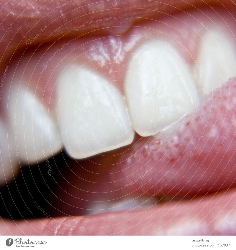 toothed Colour photo Interior shot Macro (Extreme close-up) Experimental Feminine Mouth Lips Teeth Touch Glittering Near Wet Pink Red White Joy Contentment