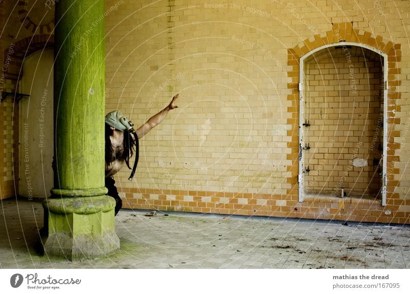 Reaching for the stars Colour photo Subdued colour Interior shot Day Shadow Contrast Sunlight Shallow depth of field Full-length Looking away Human being