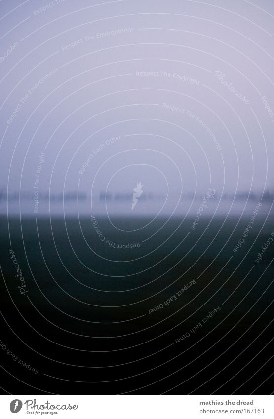 CRAWLING COLD WETNESS Colour photo Subdued colour Exterior shot Abstract Deserted Copy Space top Neutral Background Dawn Blur Motion blur Deep depth of field