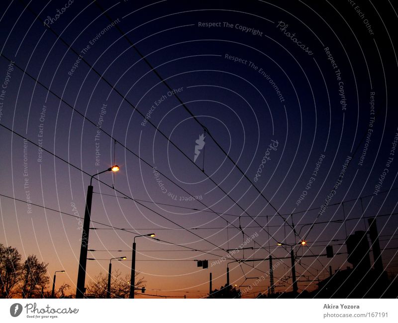 When night falls Colour photo Exterior shot Deserted Copy Space right Evening Twilight Sunrise Sunset Worm's-eye view Sky Cloudless sky Night sky Town Tram