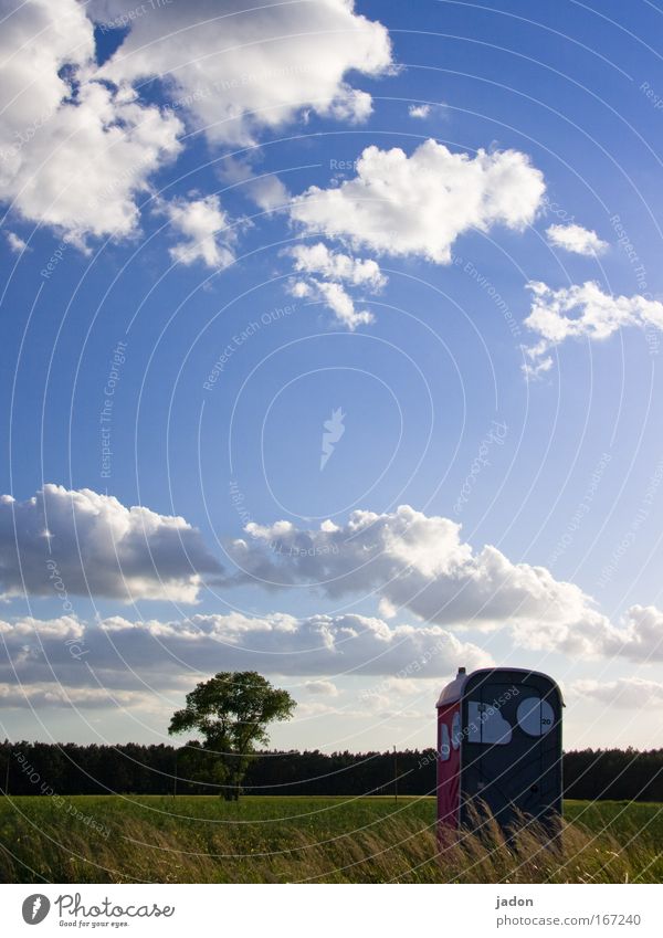 Room with a view Colour photo Exterior shot Copy Space middle Organic produce Hunting Toilet Landscape Sky Tree Field Safety (feeling of) Self Control Shame