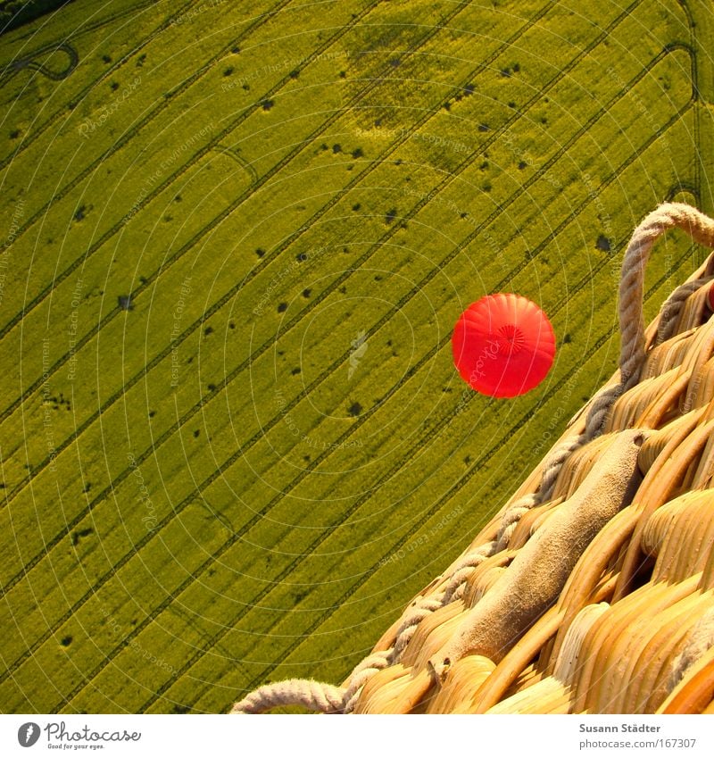 Fly over the Rapsfeld Colour photo Multicoloured Exterior shot Aerial photograph Pattern Structures and shapes Deserted Copy Space left Copy Space top Day