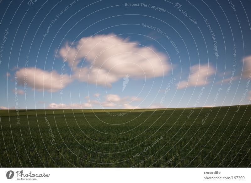 shreds of clouds V Colour photo Exterior shot Deserted Copy Space left Copy Space top Copy Space bottom Copy Space middle Day Shadow Contrast Sunlight