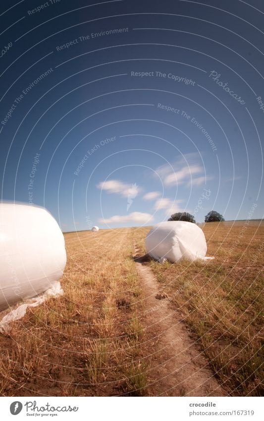 Marshmallow Field IV Colour photo Exterior shot Day Shadow Contrast Sunlight Long exposure Motion blur Deep depth of field Central perspective Environment