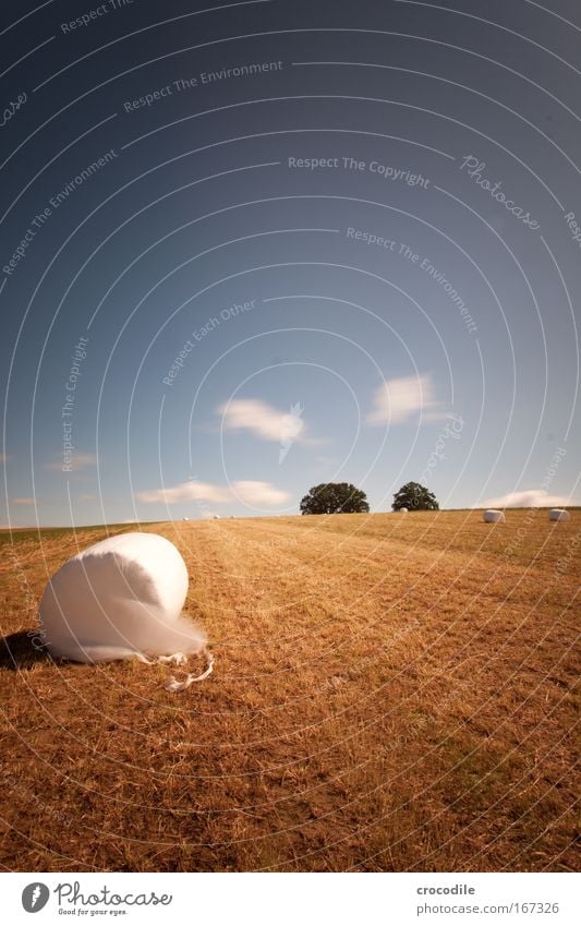 Marshmallow Field VI Colour photo Exterior shot Day Shadow Contrast Sunlight Long exposure Motion blur Deep depth of field Central perspective Environment