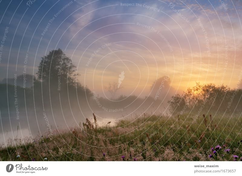 Misty morning on the river. Summer Beautiful Vacation & Travel Tourism Trip Adventure Freedom Camping Sun Environment Nature Landscape Plant Sky Clouds Sunrise