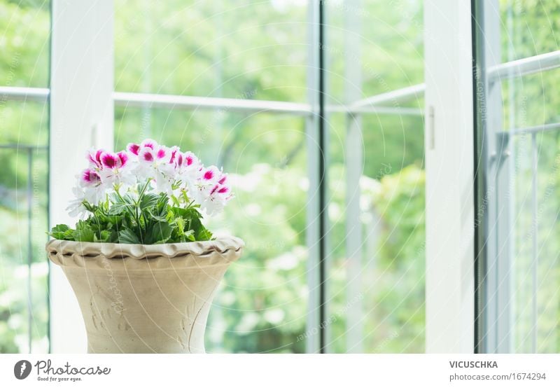 Terracotta flowerpot with geraniums at the window Style Design Summer Living or residing Flat (apartment) House (Residential Structure) Dream house Garden