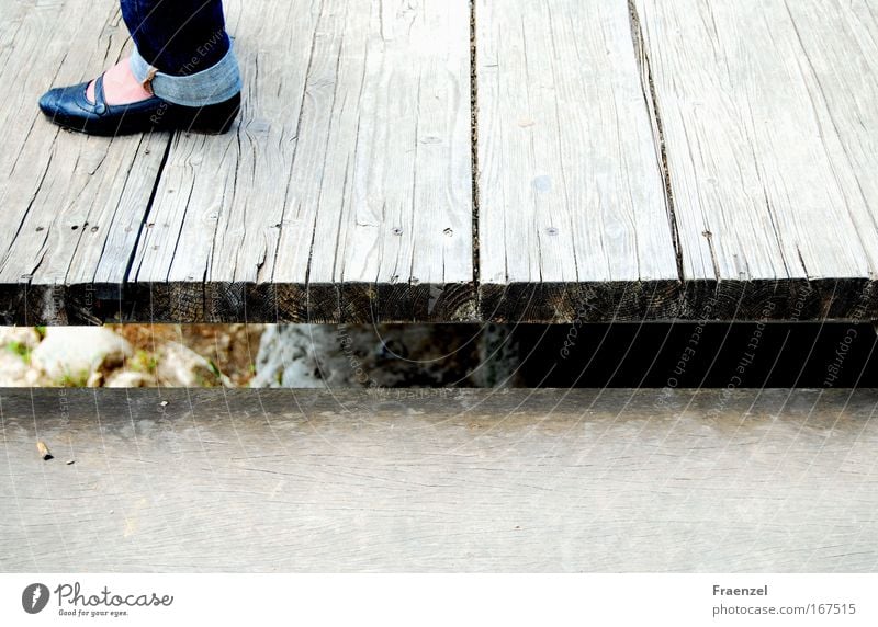 running board Colour photo Exterior shot Day Bird's-eye view Feet Stand Brown hovering