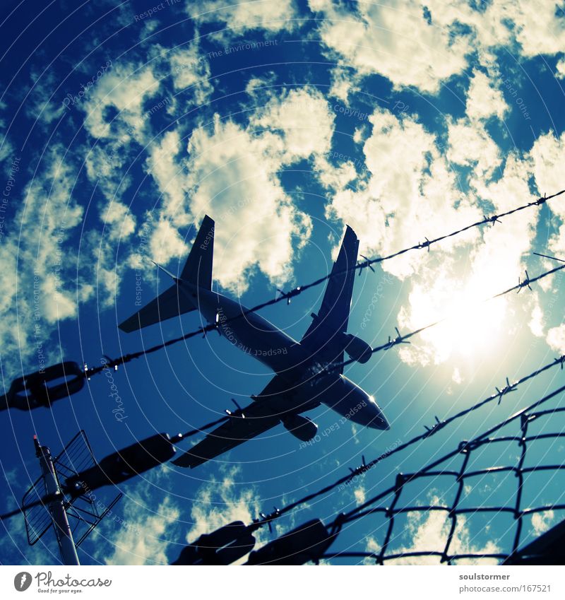 Towards the sun! Colour photo Contrast Reflection Back-light Worm's-eye view Aviation Sky Clouds Sun Airplane Passenger plane Flying Exceptional Threat Large