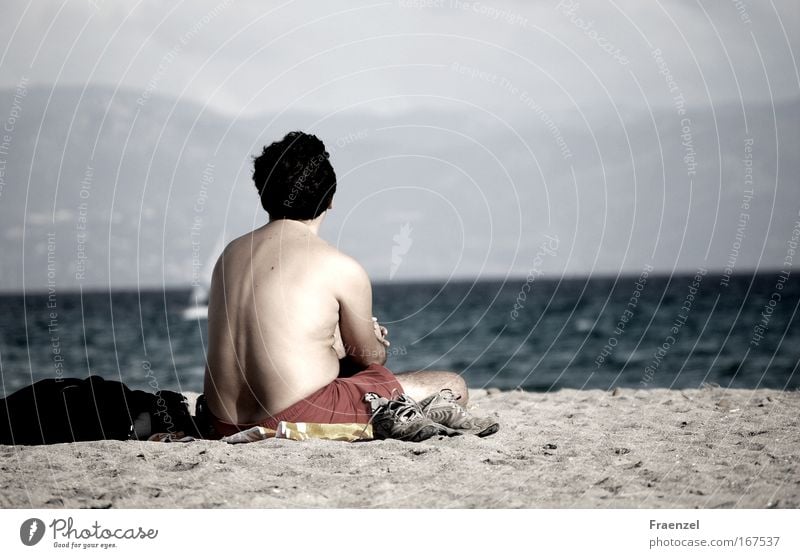 meerschweiferei Colour photo Subdued colour Exterior shot Evening Rear view Contentment Beach Ocean Human being Masculine Man Adults Back 1 Sand Summer Looking