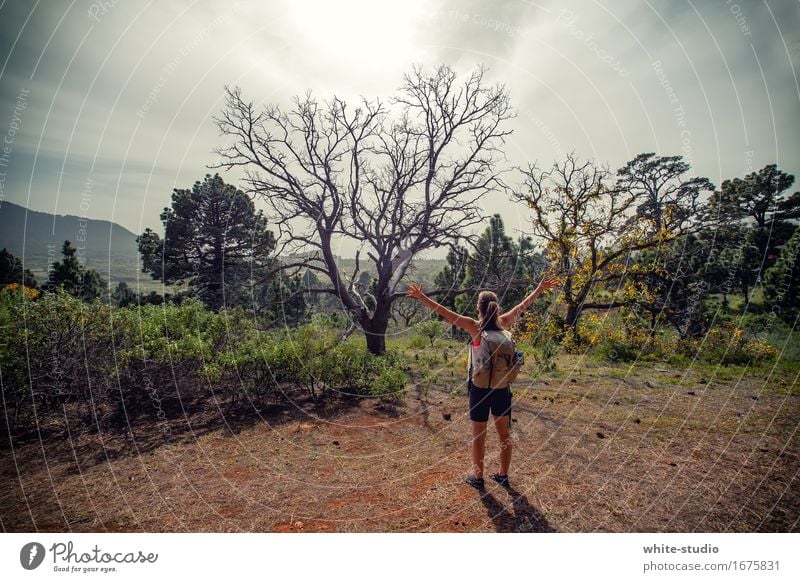 Freedom. Now. Feminine Young woman Youth (Young adults) Woman Adults 18 - 30 years Hiking Exterior shot Park National Park Hiking trip Class outing