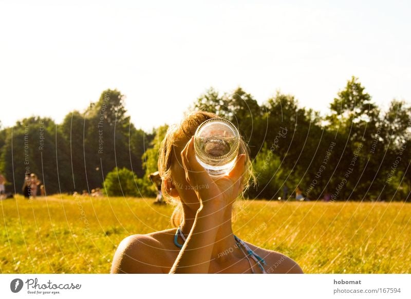 Picture with carbonic acid Colour photo Multicoloured Exterior shot Close-up Day Light Contrast Light (Natural Phenomenon) Sunlight Central perspective