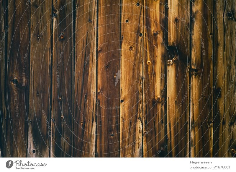 Wood background [3] Forest Logging trucks Wood effect Wooden board Wooden wall Wall (building) Parquet floor Floor covering Beech tree Oak tree Ash-tree Alder