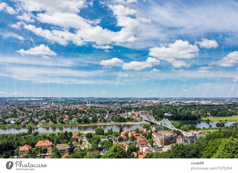 View over the Elbe to Dresden Vacation & Travel Tourism House (Residential Structure) Clouds Tree Park River Capital city Bridge Building Architecture