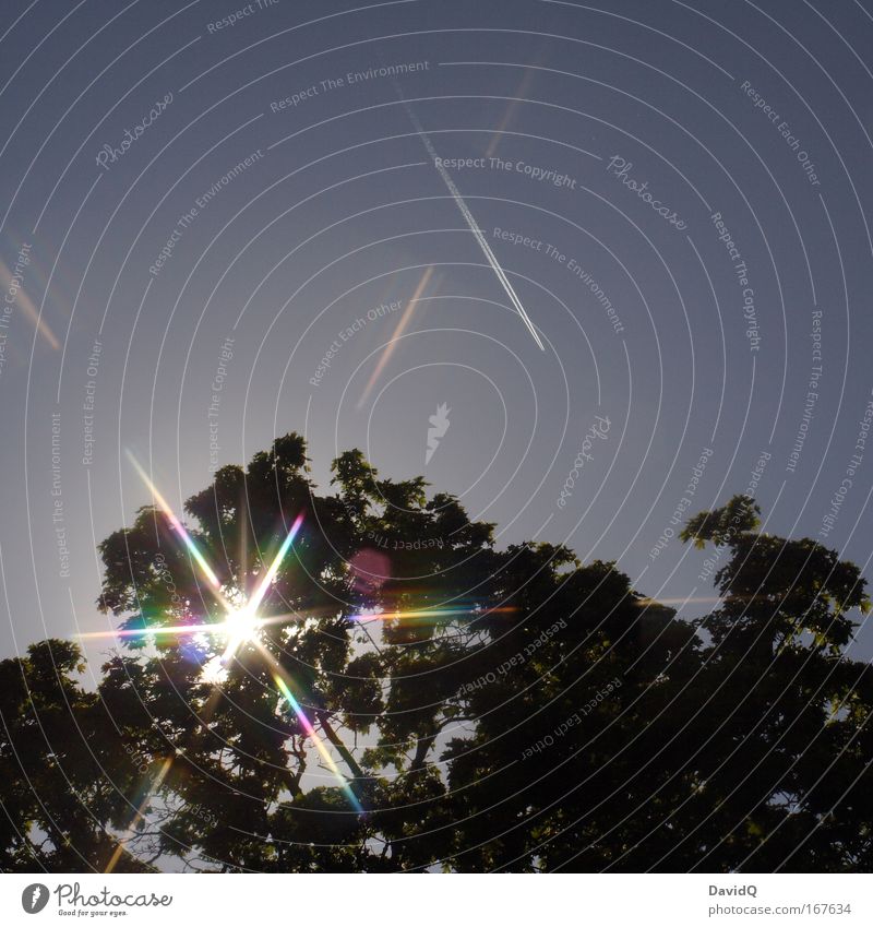 the evening laser show Colour photo Exterior shot Experimental Copy Space top Evening Twilight Light Silhouette Light (Natural Phenomenon) Sunlight Sunbeam