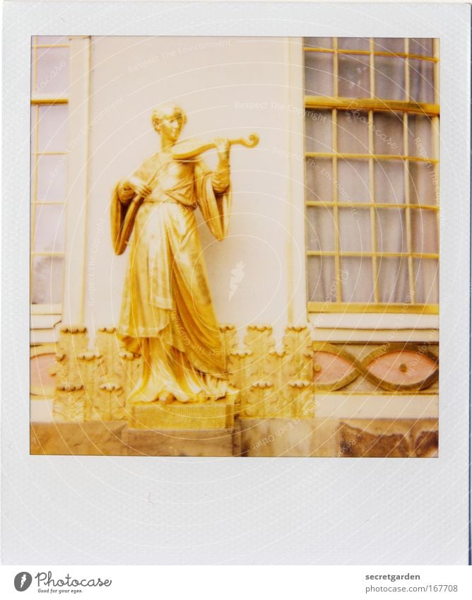 goldgrube photocase! Colour photo Exterior shot Close-up Polaroid Copy Space bottom Day Sunlight High-key Central perspective Full-length Looking away Feminine