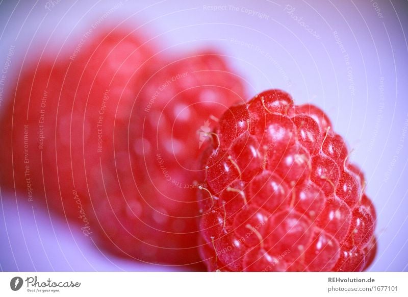 raspberries Food Fruit Nutrition Healthy Healthy Eating To enjoy Delicious Red Raspberry Berries Fruity Summer Sense of taste Colour photo Interior shot