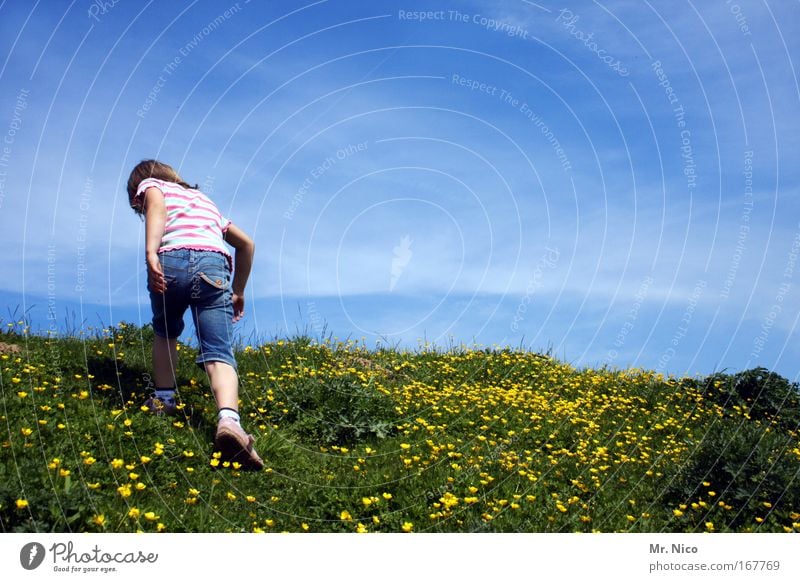 On top Exterior shot Trip Freedom Mountain Hiking Girl Back Nature Sky Summer Beautiful weather Hill Peak Blue Green Contentment Spring fever Willpower