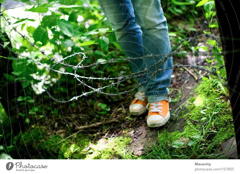 enclosure Colour photo Subdued colour Exterior shot Copy Space left Copy Space bottom Day Sunlight Shallow depth of field Legs Feet Nature Plant Grass Jeans