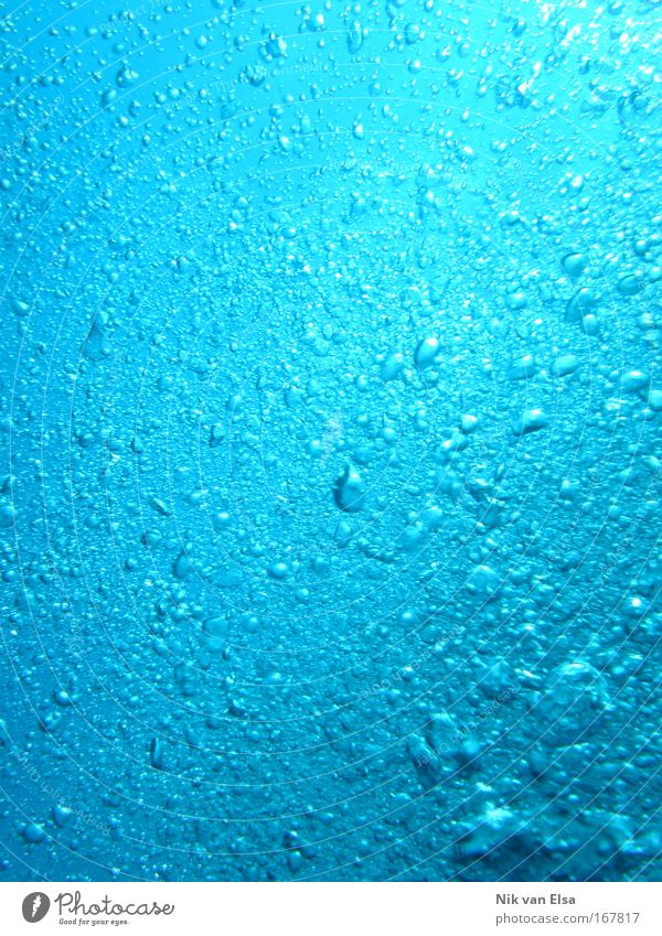 deep blue sea Colour photo Exterior shot Underwater photo Abstract Pattern Structures and shapes Day Dive Nature Elements Air Water Ocean Blue Water blister