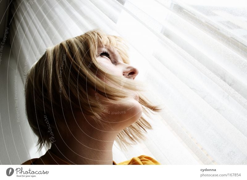 indoors and outdoors Colour photo Interior shot Close-up Detail Copy Space right Copy Space top Day Light Shadow Contrast Sunlight Shallow depth of field