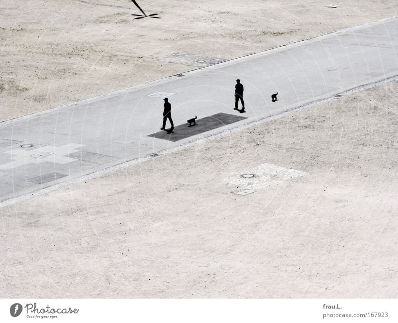 twins Colour photo Exterior shot Copy Space bottom Contrast Silhouette Deep depth of field Bird's-eye view Full-length Human being Masculine Man Adults Couple 2