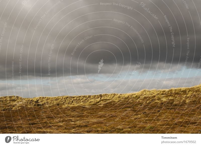 Partly sunny. Environment Nature Landscape Sky Clouds Sunlight Weather Marram grass Dune Denmark Threat Blue Gray Far-off places Colour photo Exterior shot