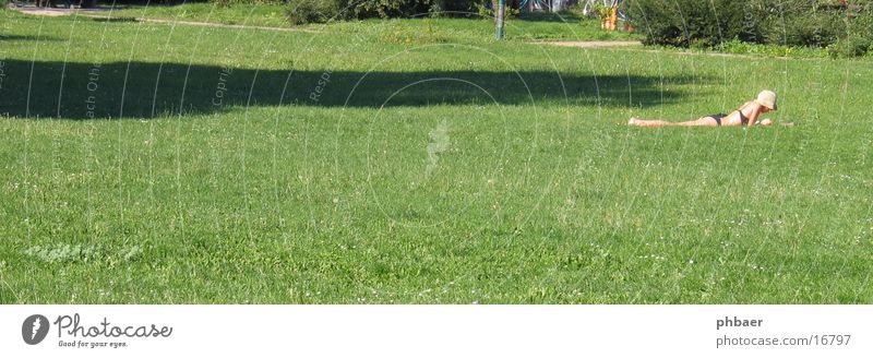 Prone position in the Herrngarten Woman Reading Bikini Darmstadt Park Green Plant Grass Meadow Light Free space Hat master garden Nature Lawn Relaxation Sun