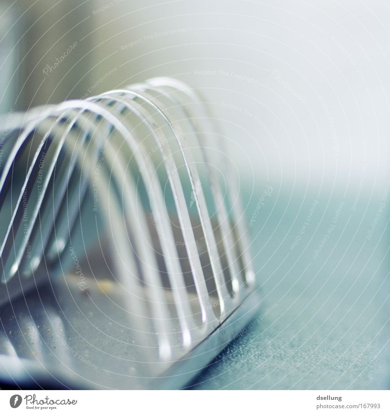 A Quantum Toast Colour photo Interior shot Close-up Deserted Copy Space right Copy Space top Day Reflection Shallow depth of field Central perspective Crockery