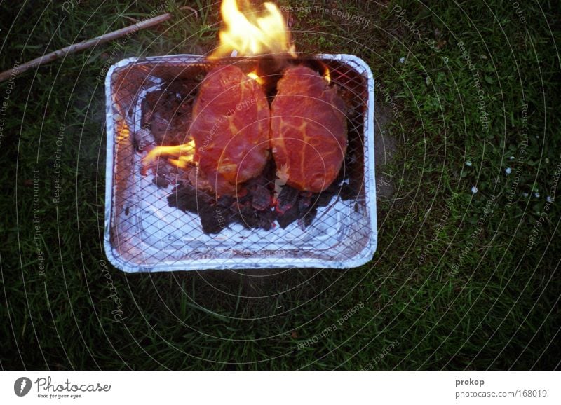 Burn Motherfucker Burn Colour photo Exterior shot Deserted Evening Twilight Deep depth of field Bird's-eye view Food Meat Nutrition Dinner Picnic Lifestyle