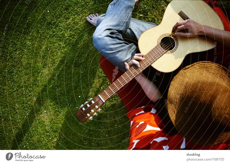 Finn Colour photo Multicoloured Exterior shot Sunlight Bird's-eye view Joy Leisure and hobbies Summer Island Human being Masculine 1 Music Guitar Meadow Wood