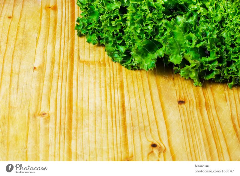 garnish Colour photo Studio shot Structures and shapes Deserted Copy Space left Copy Space bottom Bird's-eye view Lettuce Salad Nutrition Organic produce