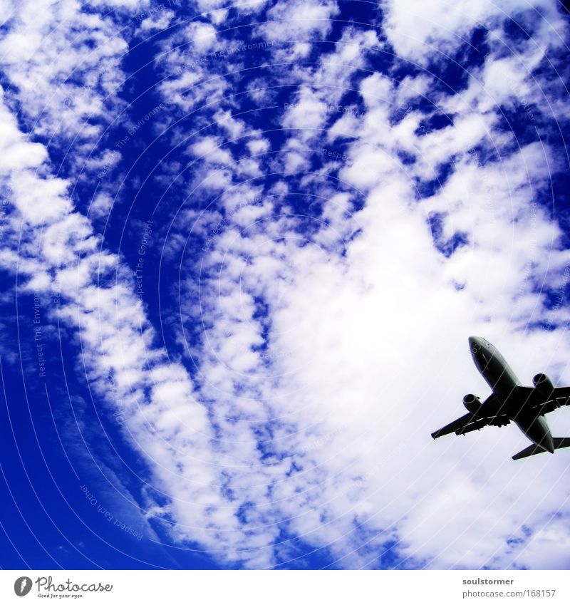 Freedom! Colour photo Exterior shot Deserted Copy Space left Day Worm's-eye view Lifestyle Vacation & Travel Tourism Summer vacation Beach Island Machinery