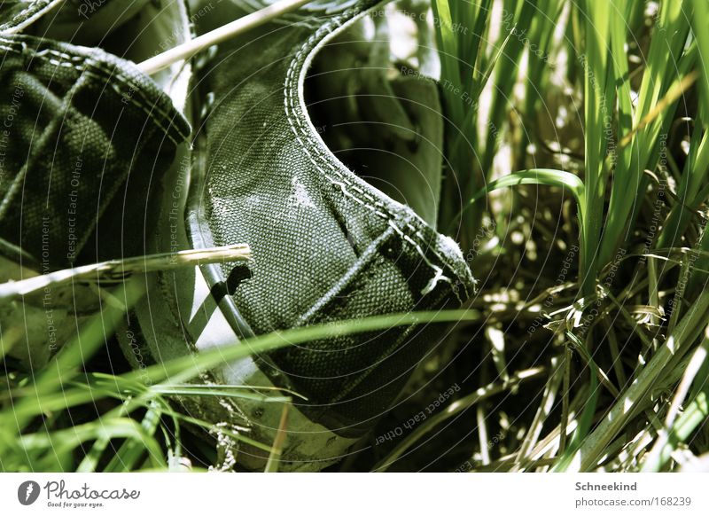 Feet in the fresh air Colour photo Exterior shot Detail Deserted Day Shadow Shallow depth of field Bird's-eye view Relaxation Calm Summer Plant Grass