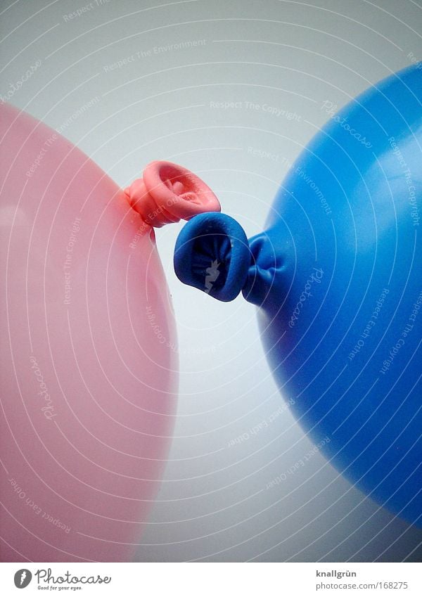 encounter Colour photo Studio shot Close-up Detail Deserted Copy Space top Copy Space bottom Neutral Background Balloon Knot Touch Together Glittering Round