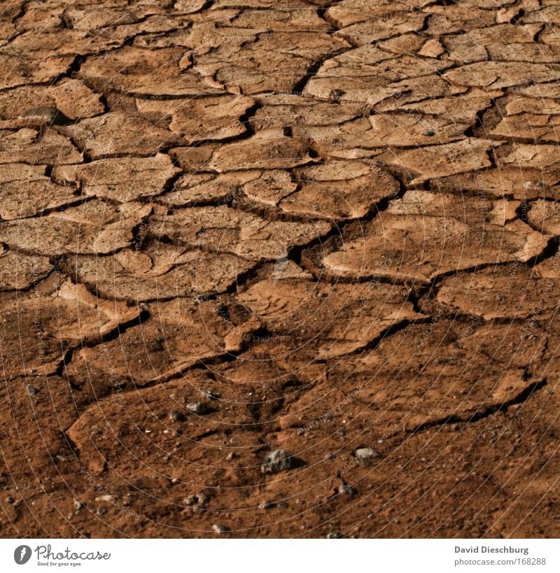 drought Colour photo Exterior shot Copy Space left Copy Space right Copy Space top Copy Space bottom Copy Space middle Day Contrast Environment Nature Landscape