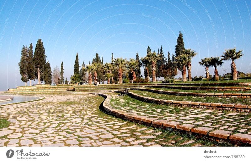 Turkish morning Colour photo Exterior shot Pattern Deserted Copy Space top Morning Panorama (View) Nature Landscape Tree Park Moody Calm Large Day