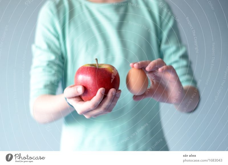 Compare apple with egg Food Apple Egg Economy Trade Services Financial Industry Human being Feminine Girl Upper body 1 8 - 13 years Child Infancy To hold on