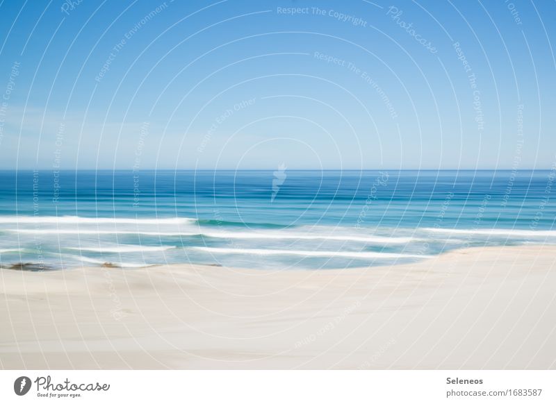 I've still got sand in my shoes Harmonious Well-being Senses Relaxation Calm Vacation & Travel Trip Far-off places Freedom Summer Summer vacation Sun Beach