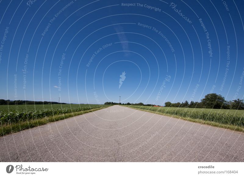 highway Colour photo Exterior shot Deserted Copy Space left Copy Space right Copy Space top Copy Space bottom Day Deep depth of field Worm's-eye view Wide angle