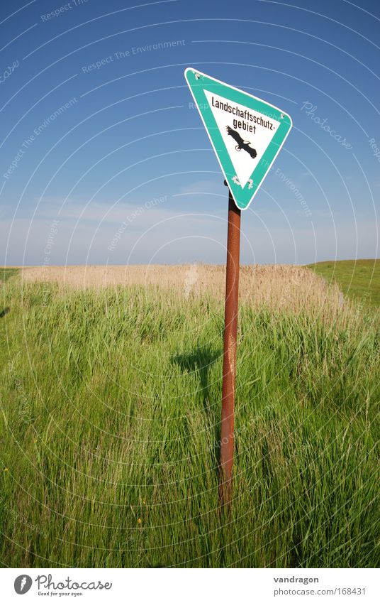 Shield in the green Colour photo Exterior shot Deserted Day Contrast Sunlight Wide angle Contentment Relaxation Calm Vacation & Travel Tourism Trip Summer